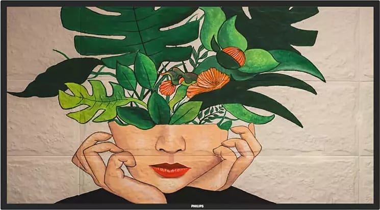 Philips 50Bdl4550D/00 1 Philips 50Bdl4550D/00