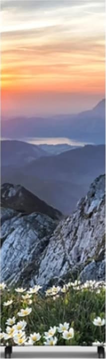 Allsee 80Inch Dvled Freestanding Totem (Fsidvledgob-C1) 1 Allsee 80Inch Dvled Freestanding Totem (Fsidvledgob-C1)