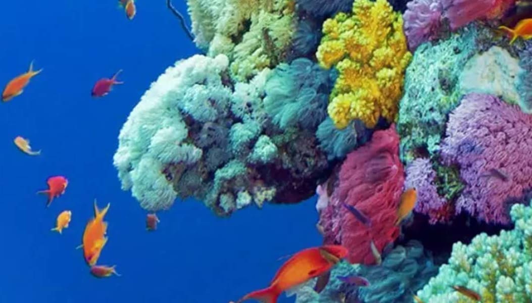 Projectorpoint - Everything you need to know about HDR