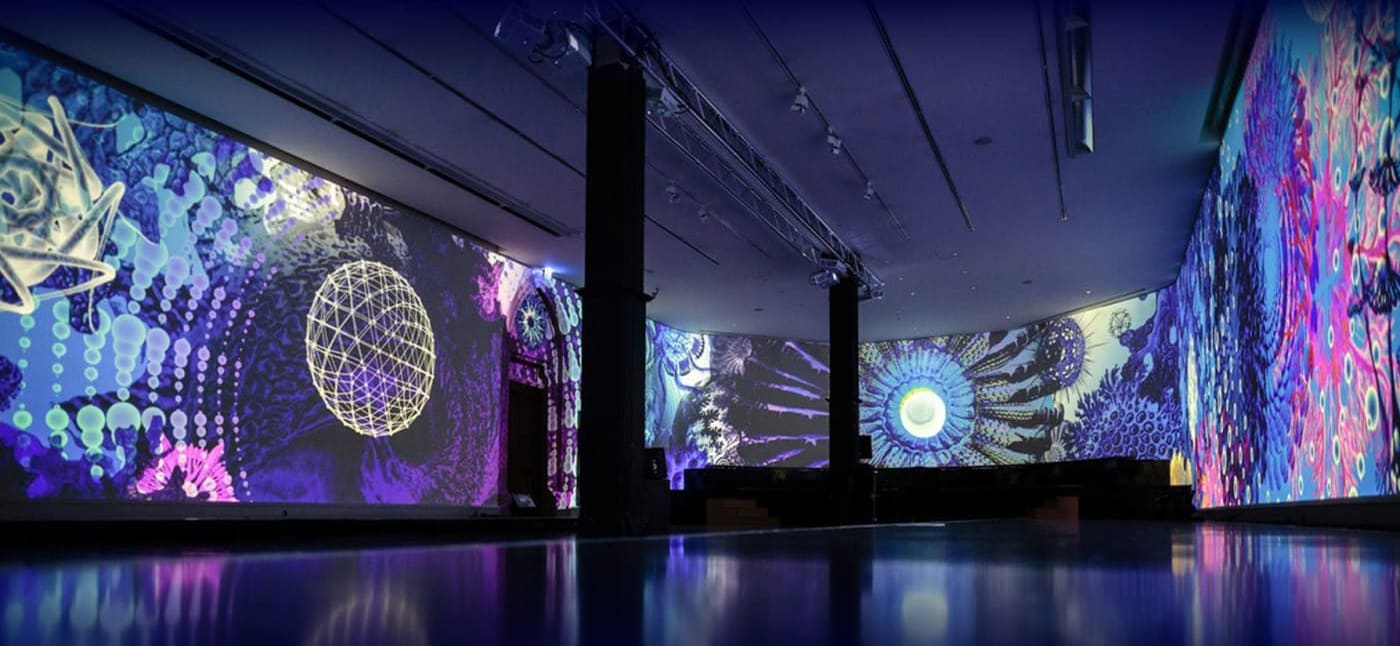 Simulation Projectors