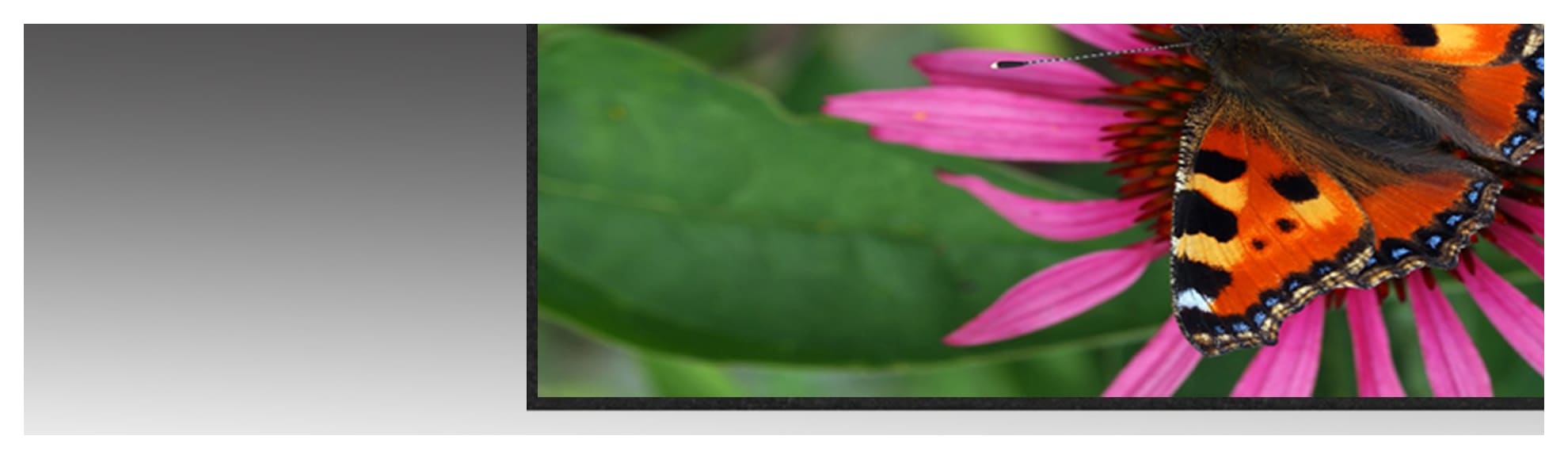 4K projector screens from Projectorpoint