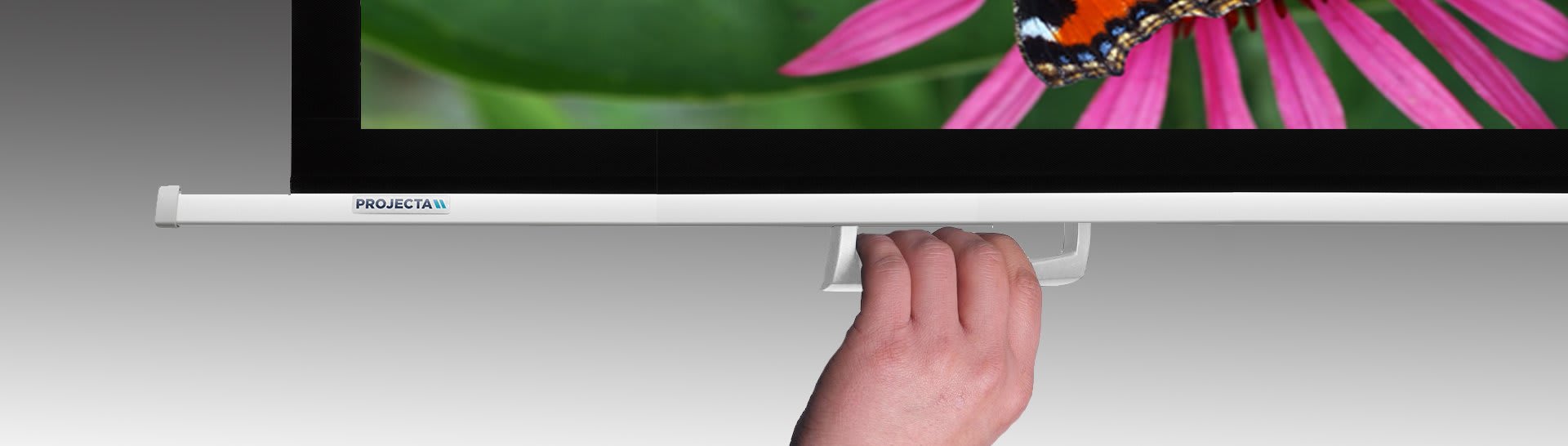 Manual pull down screens from Projectorpoint