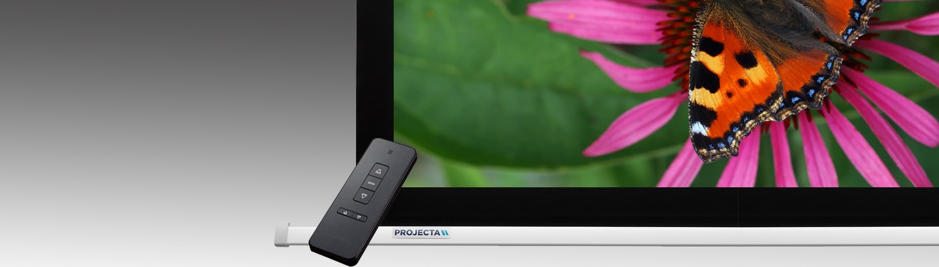 Electric Projector Screens from Projectorpoint