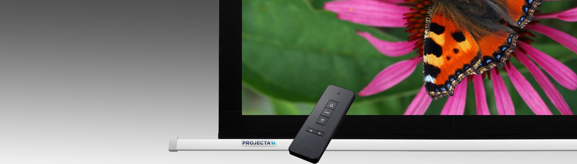 Electric Projector Screens From Projectorpoint