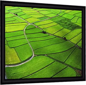 Screen International Modigliani Fixed Frame Velvet Screen - 220 x 124cm (16:9) ALR Surface - (MGV220x124ALR)