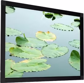 Screen International Fixed Frame 220 x 124cm 16:9 - (FE220X124-WHT)