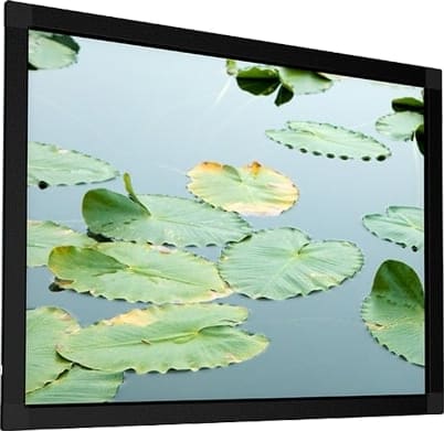 Screen International Fixed Frame 300 x 169cm 16:9 &ndash; (FE300X169-WHT)