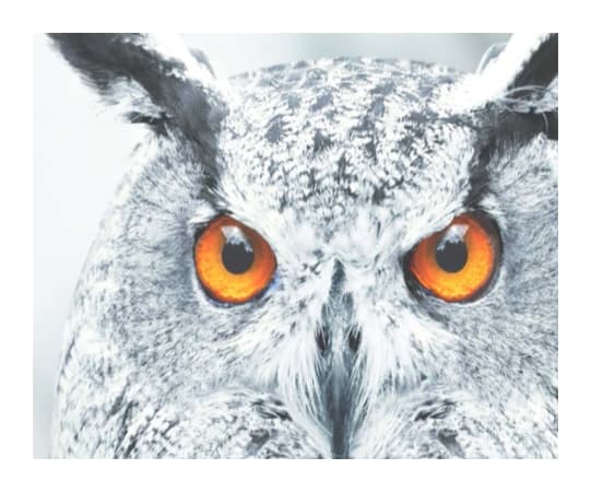 Projectorpoint - 4K projector screens