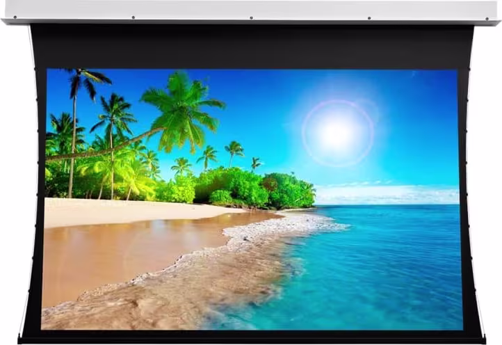 Projecta Tensioned Descender Electrol 139 X 240 cm (16:9) Complete Screen with UHD 4K Fabric 0.9 Gain and RF remote control (Projecta 10103752)