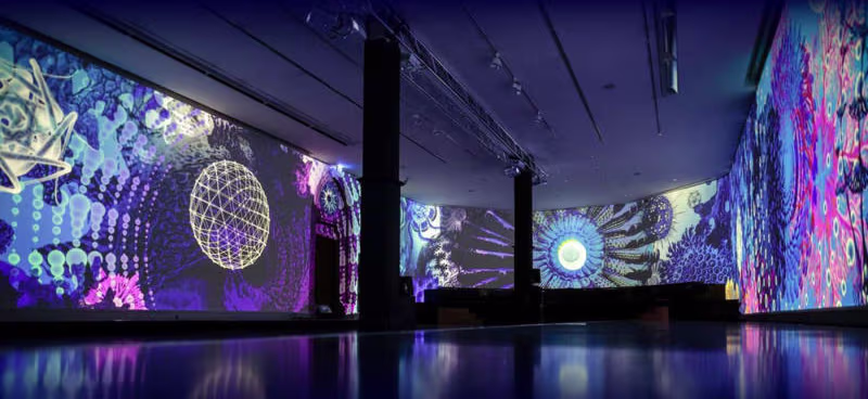 Simulation Projectors
