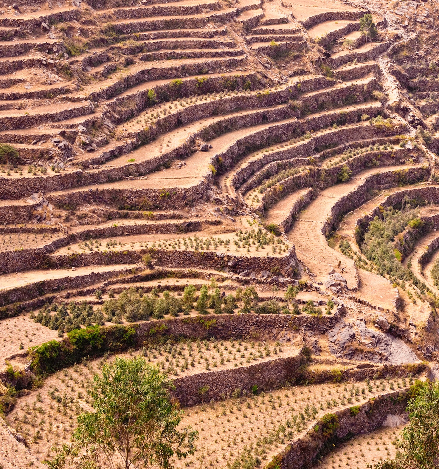 Here is where coffee is made