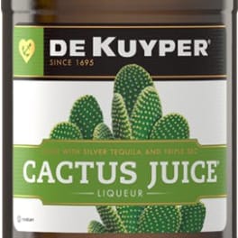 Dekuyper Cactus Juice - 375mL