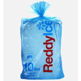 Ice Block - 10Lb