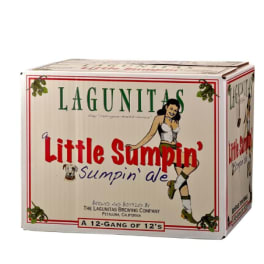 Lagunitas Little Sumpin' Sumpin Ale Bottle - 12 bottles / 12oz