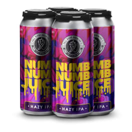 Fall River Numb Numb Juice Hazy IPA - 4 cans / 16oz