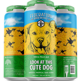 Federation Fully Functional Pale Ale - 4 cans / 16oz