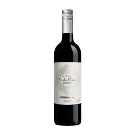 Piedra Negra Gran Malbec 09 - 750mL