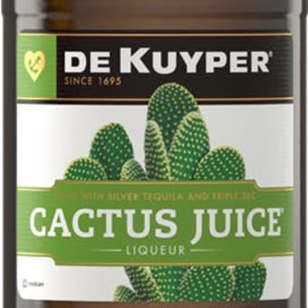 Dekuyper Cactus Juice - 375mL