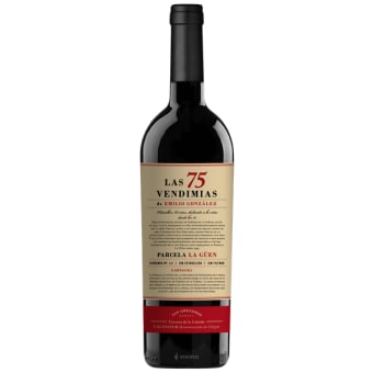 San Gregorio Las 75 Vendimias-750ml