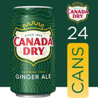 Canada Dry Ginger Ale 24Pack Cans