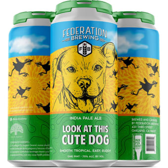 Federation Fully Functional Pale Ale - 4 cans / 16oz