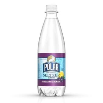 POLAR - BLUEBERRY LEMONADE - 20OZ