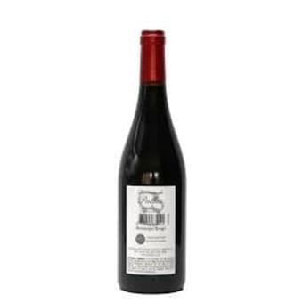 DOM DE PALLUS - CHINON ROUGE - .750L