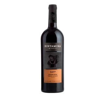 Binyamina Cabernet Sauvignon Yogev - 750mL