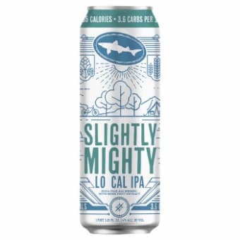 Dogfish Head Slightly Mighty - 19.2oz
