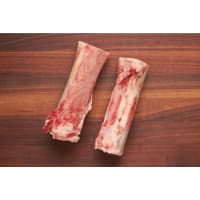 Bone Marrow