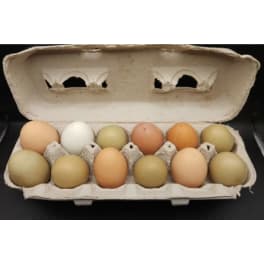 One Dozen- Pasture-Raised Eggs