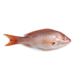 Red Snapper - 1 lb