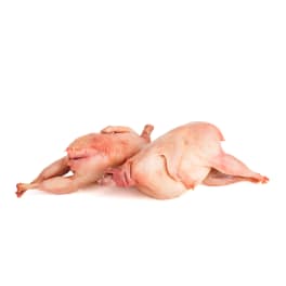 Codorniz (Quail) - 1 lb