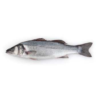 Sea Bass - 6 oz