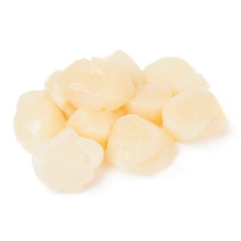 Scallops - 1 lb