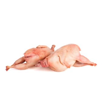 Codorniz (Quail) - 1 lb