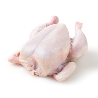 Pasture Raised Whole Chickens - 1 lb