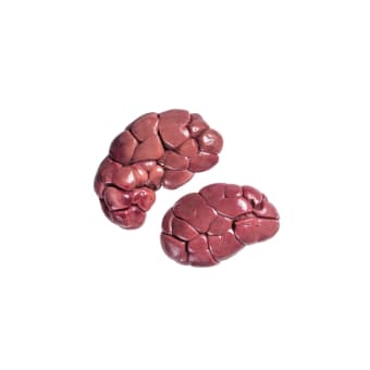 Beef Kidney - 1 lb