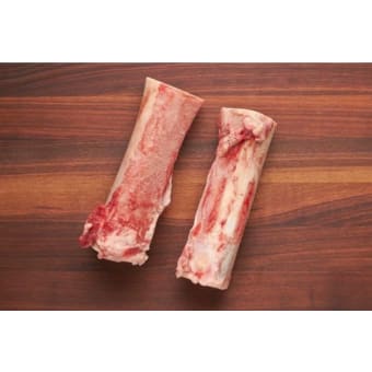 Bone Marrow