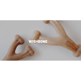 Benebone Wishbone Chicken Dog Toy - M