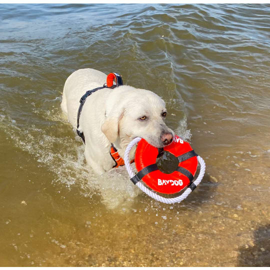 Baydog Fetch Ring - Blaze Orange - The Fetch Ring is great for playing fetch in and out of the water!  And dogs love to play tug-of-war with the rope ring.  Our new solid core design is more durable than ever.  You'll understand why our Fetch Ring is one of our most popular toys!  Waterproof & Buoyant: Perfect for playing fetch with your water-loving dog! Roped Edging: Attached rope is perfect for a game of tug-of-war! Durable Ballistic Nylon: Highest quality materials extend the life of the toy. Soft Core Center: Gentle on your dog’s mouth, but sturdy enough for long-lasting play! Play Safe: In case things get ruff. Supervised play will help toys last longer and most importantly keep your dog safe. No dog toy is truly indestructible, so always remove the toy from playtime if pieces begin to break off.