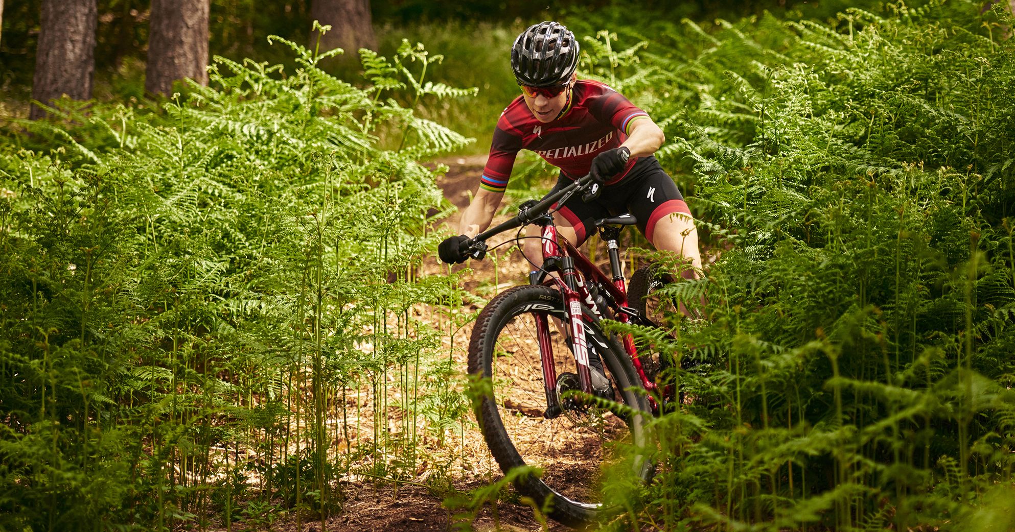 Photo de publication