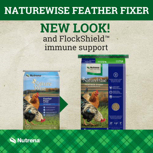 Nutrena NatureWise poultry feed Runnings