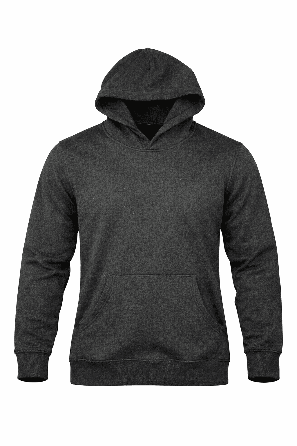 BRONTE MENS HOODIES AU-N1537