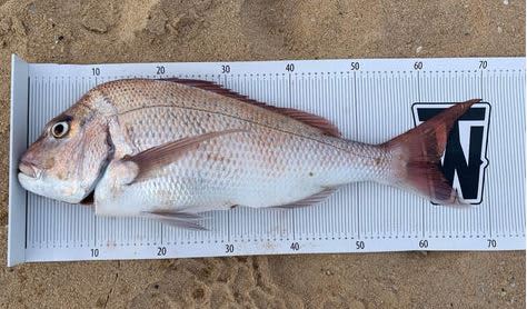 Vinyl Fishing Brag Mats
