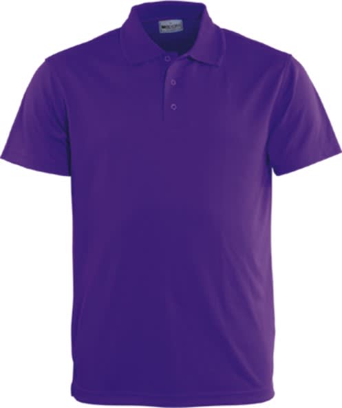 Ladies Basic Polo