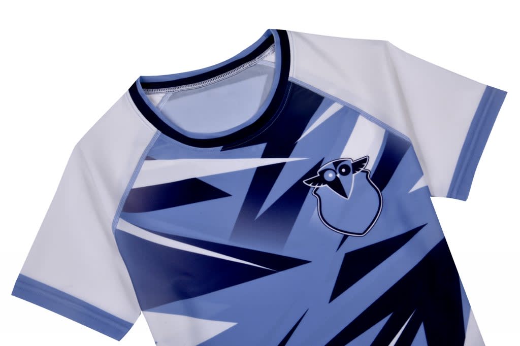 A blue and white swimwear top featuring a geometric design and a logo on the chest.