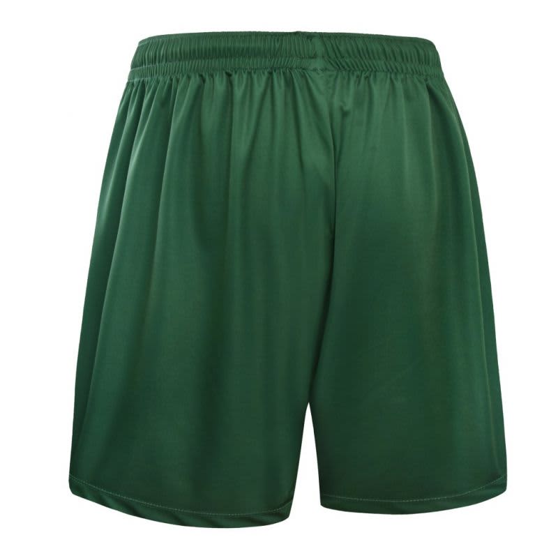 Green shorts featuring an elastic waistband and a smooth, glossy finish. The item includes a logo.