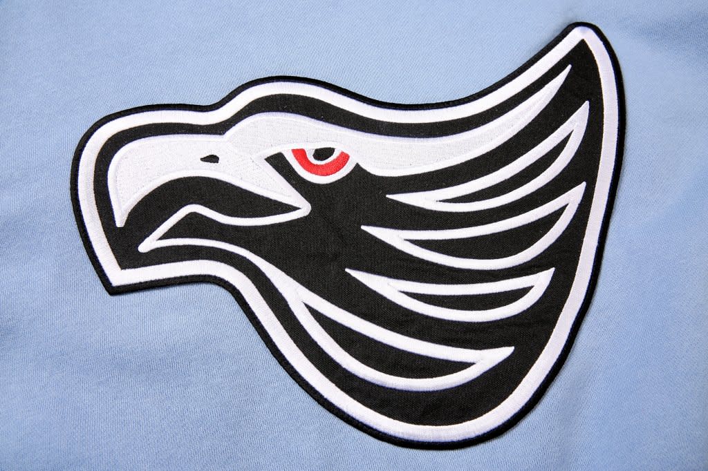 A light blue fabric featuring a prominent embroidered black and white eagle design with red detailing.