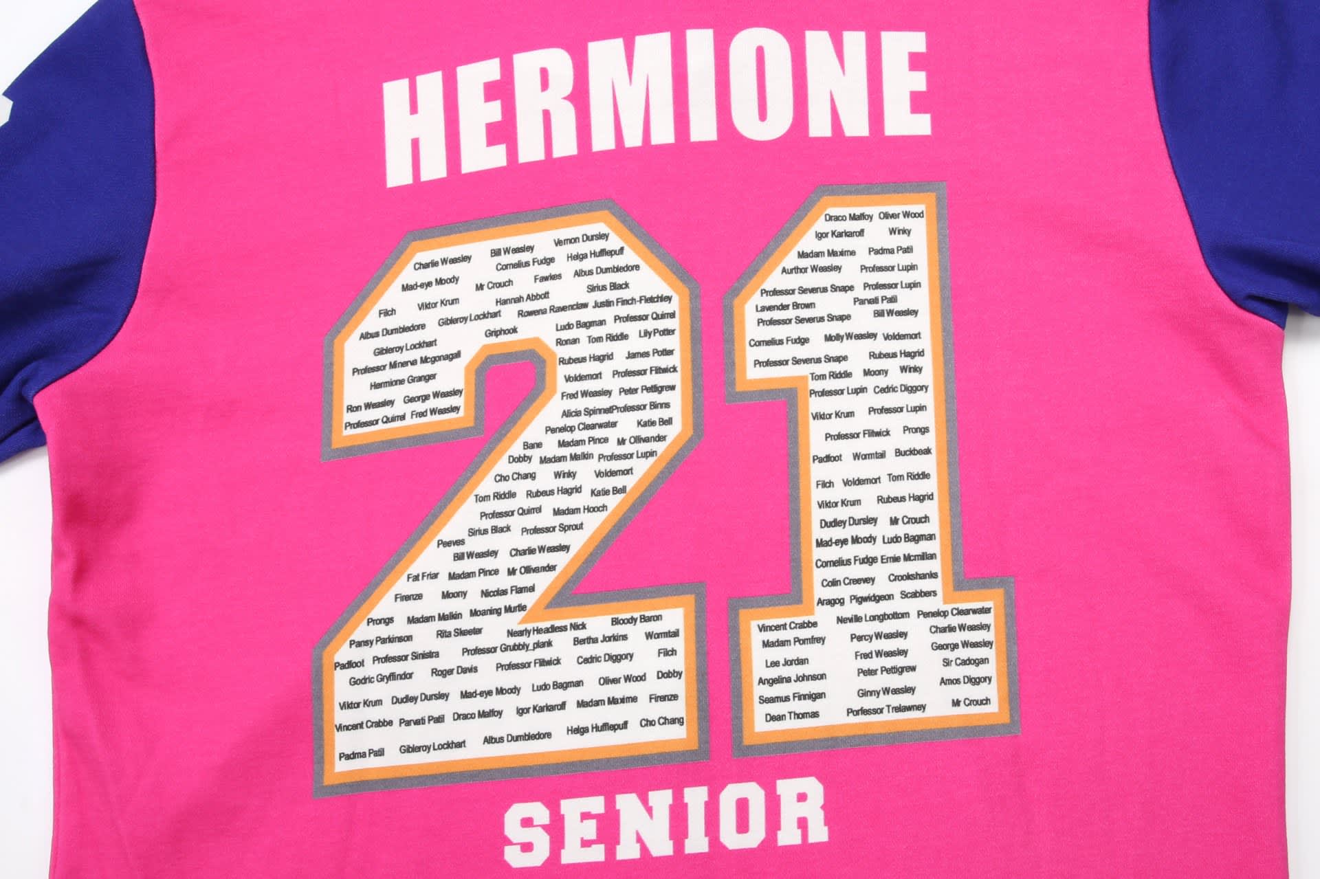 A pink school hoodie featuring the number 21 and the word "SENIOR" with a list of names and a logo.